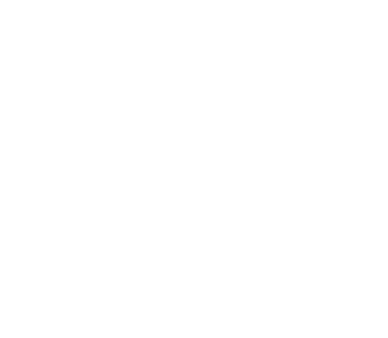 Stainless Aesthetics Inc